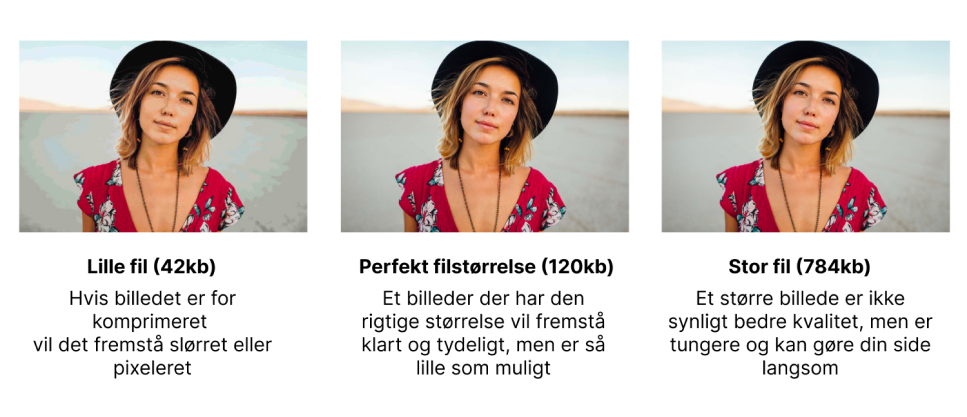 Dette billede viser, hvor meget du skal komprimere dine billeder